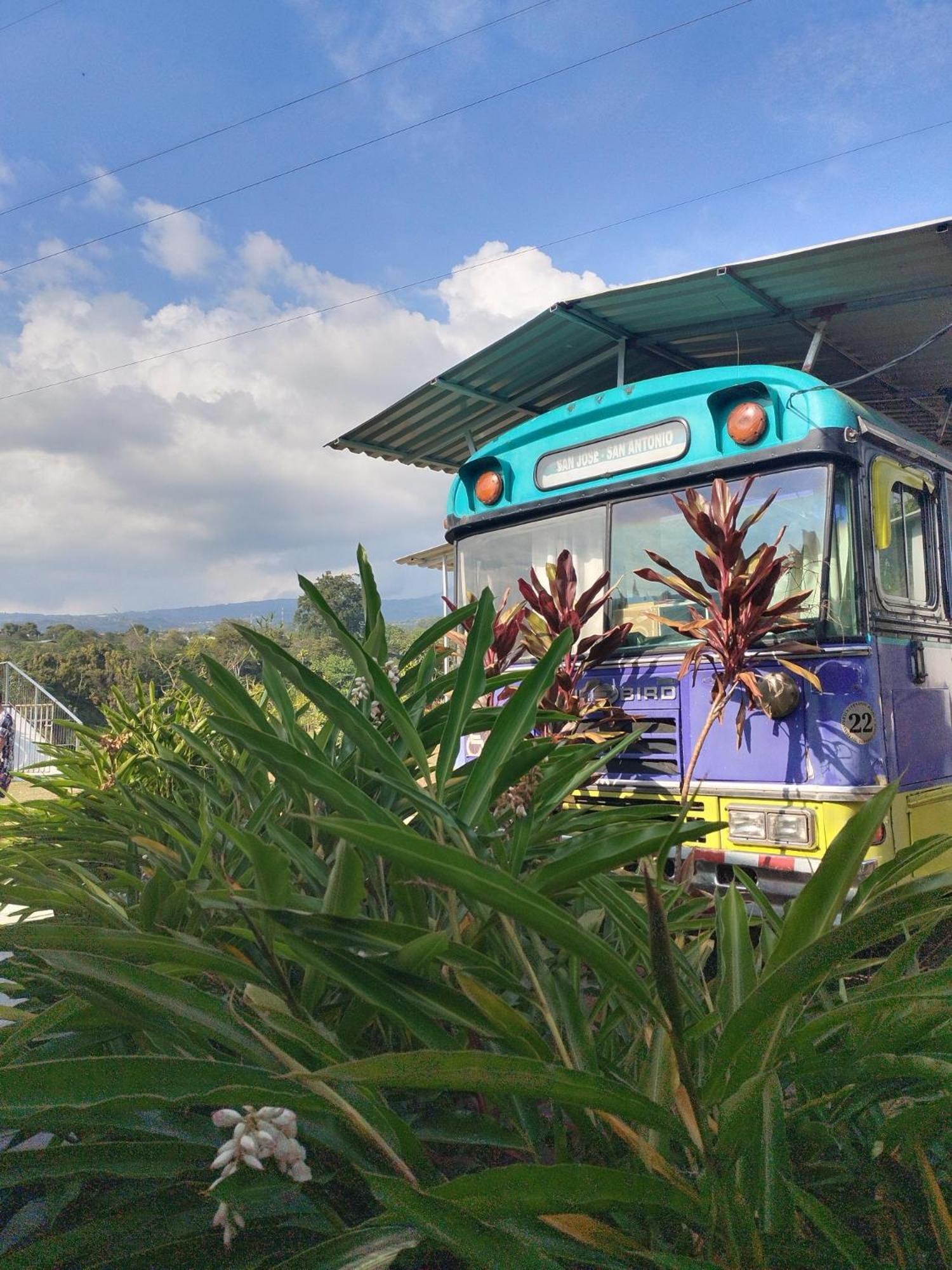 Dreamcatcher House Bus Experience 2 Sarchí Exteriér fotografie